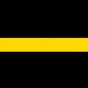 Meet your Posher, Rae