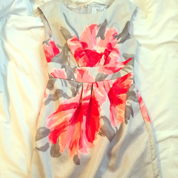 Dresses & Skirts - Silver and Pink Flowered Dress