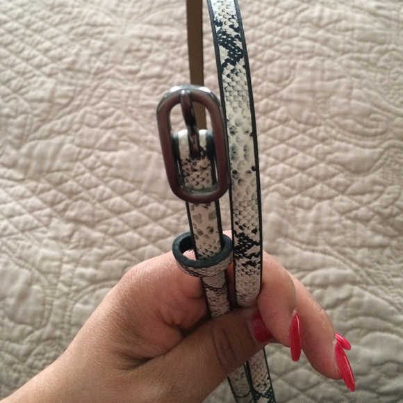 Belt - Picture 2 of 2