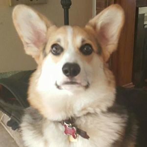 Meet your Posher, Catherine