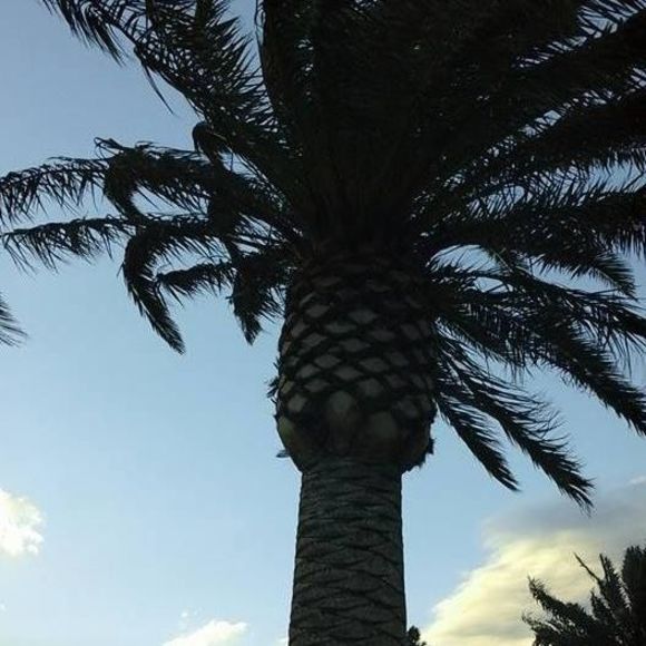 Meet your Posher, Missy