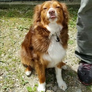 Meet your Posher, Savannah