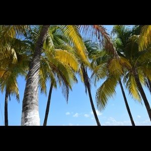 Meet your Posher, Jim