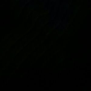 Meet your Posher, Angelica