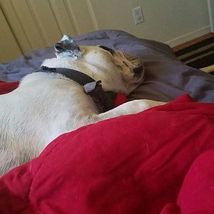 Meet your Posher, Arielle