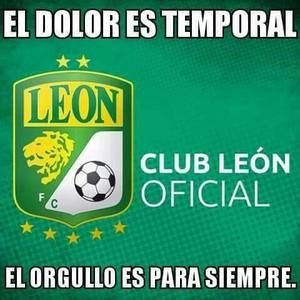 Meet your Posher, Fabiola