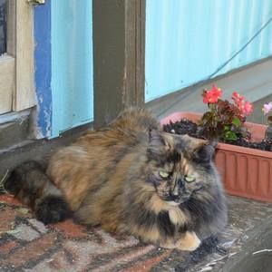 Meet your Posher, Kristi