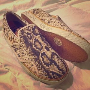 L.A.M.B. Royal Elastics Katella Tex