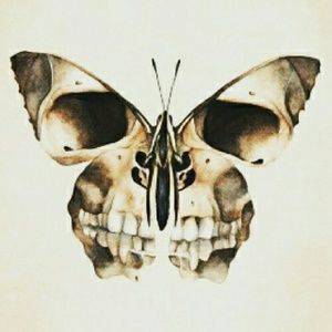 Meet your Posher, Caitlyn