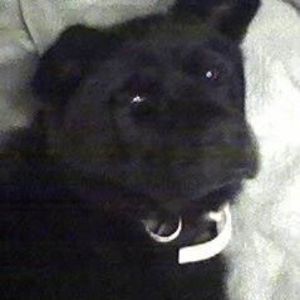 Meet your Posher, Tammy