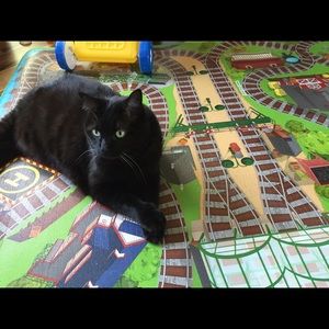 Meet your Posher, Bridget