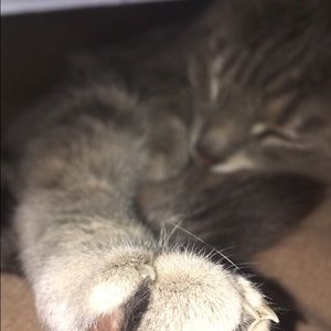 Nothing, just a question