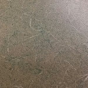 Meet your Posher, Phinia