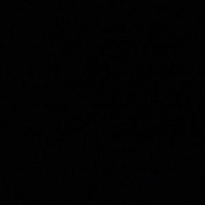 Meet your Posher, Bee