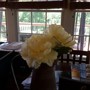 Meet your Posher, Ronette