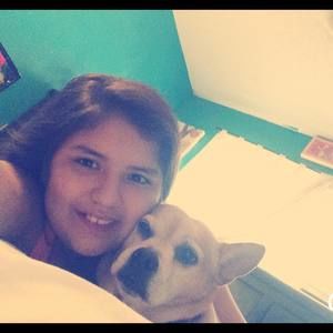 Meet your Posher, Bailey