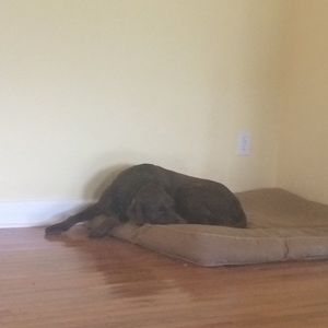 Meet your Posher, Kylie