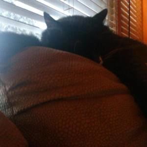 Meet your Posher, Marcella