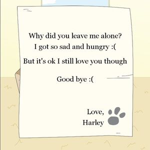 Meet your Posher, Zoe