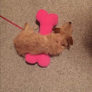 Meet your Posher, Taura