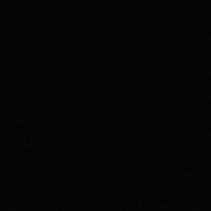 Meet your Posher, Eva