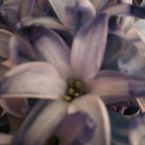 Meet your Posher, Tammy