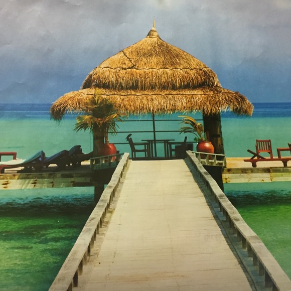 Meet your Posher, Missy - Picture 1 of 1