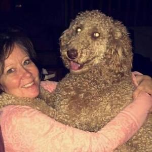 Meet your Posher, Lisa