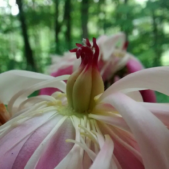 Meet the Posher: Beth - Picture 1 of 1