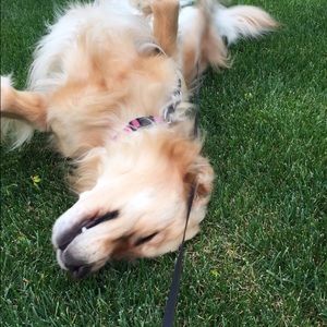 Meet your Posher, Ruby