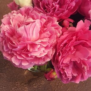 Meet your Posher, Nicole