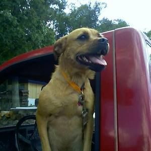 Meet your Posher, Dawna