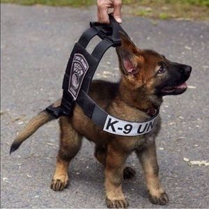 Meet your Posher, Keeghan