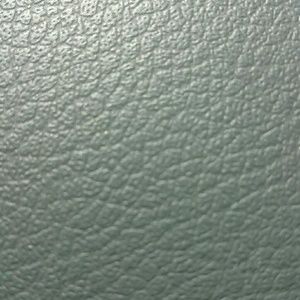 Meet your Posher, Jen