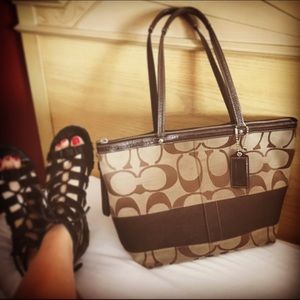 Coach Mahogany/Khaki Signature Stripe Tote