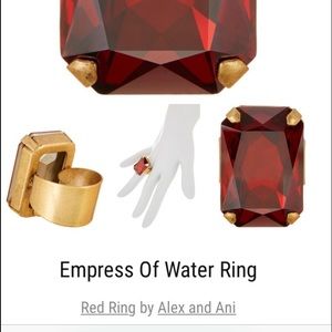 Alex and Ani Ring!!!