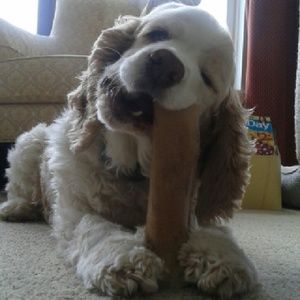 Meet your Posher, Audrey