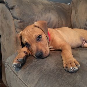 Meet your Posher, Tommy