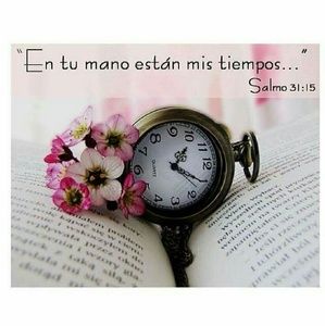 Meet your Posher, Ariana