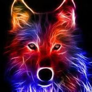 Meet your Posher, Scarlet