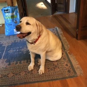 Meet your Posher, Astrid