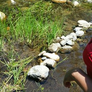 Meet your Posher, Sherri