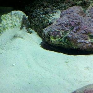 Meet your Posher, Kandice