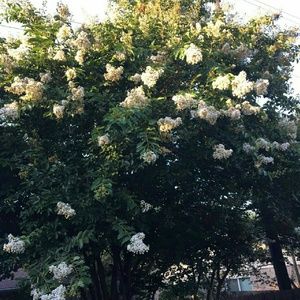 Meet your Posher, Gabriela