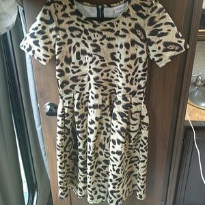 Lularoe medium Amelia dresz