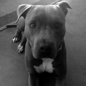 Meet your Posher, Liliana