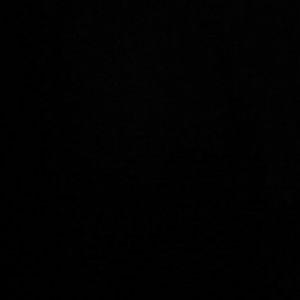 Meet your Posher, Constance