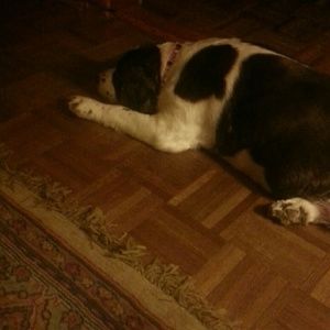 Meet your Posher, Catherine