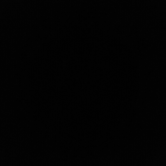 Meet your Posher, Shelby