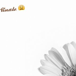 Meet your Posher, Mir